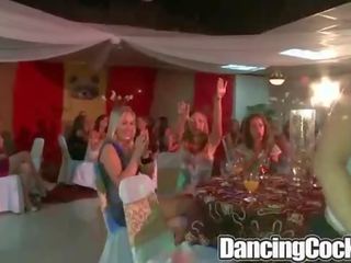 Dancingcock Ballroom Blitz.p16
